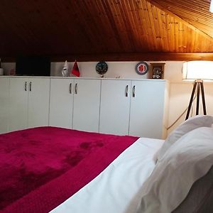 Kamer met een King Size Bed